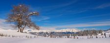 Zillertal im Hintergrund