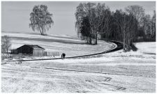 04_Johannes_Geiger-Winterspaziergang-Manzenberg-JG-040988_DxO-sw-b-1080px__