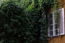 02_P_Fritz_Baader_Borstei-2