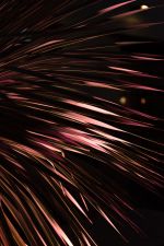 P_09-ralf-20250917-184445-D7100-k