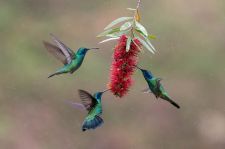 P_01_024_Mandy_20241119-_90A5136