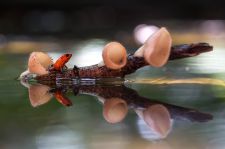 P_03_013_Mandy_20241115-_L2A3293