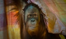 P_05_019_Guenter_DSR08824