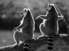 P_07_001_Guenter_DSR08958