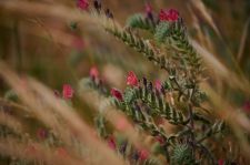 P_02-Patrick_Wiese2