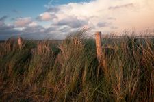 P_08-Basti_Wiese