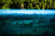 P_09-Wald_Wiese_Boediger_Andreas_Lechauen