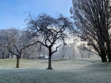 P_12-Wald-Wiese-1-Thomas-Preuss